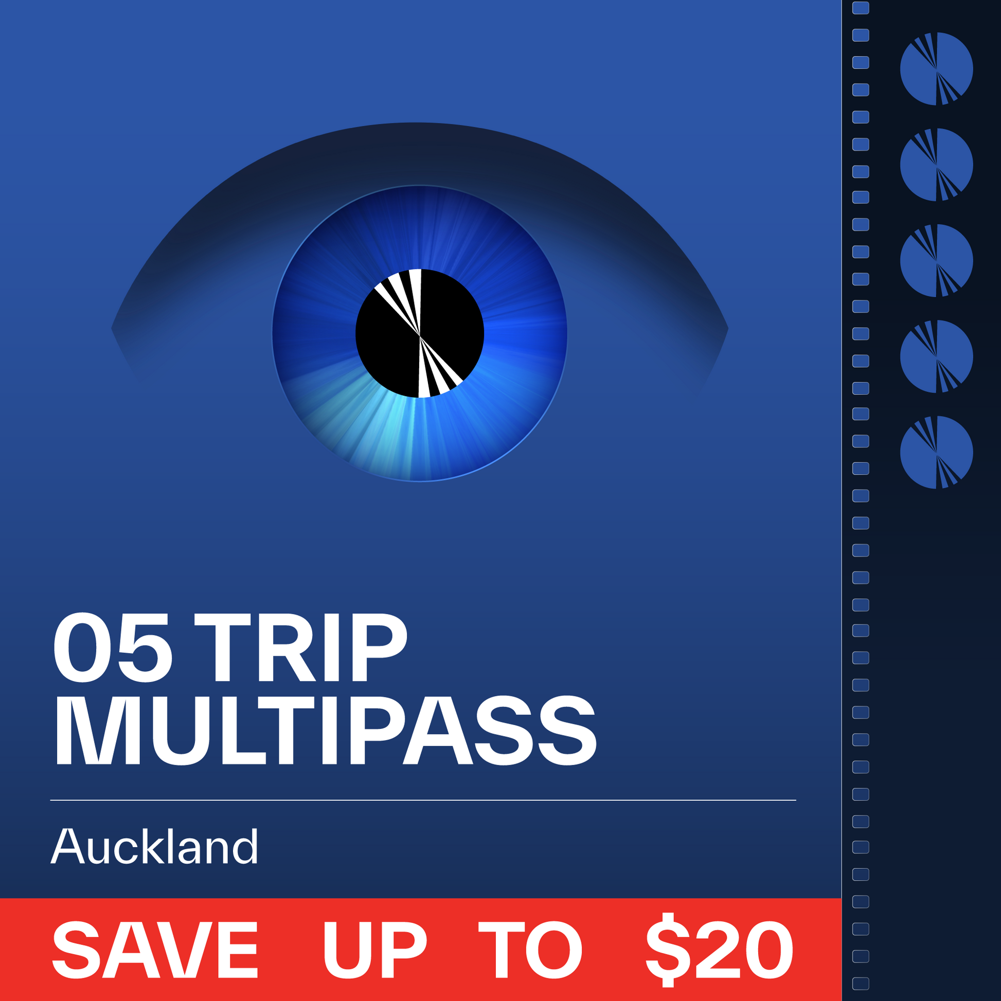 Auckland 5-Trip