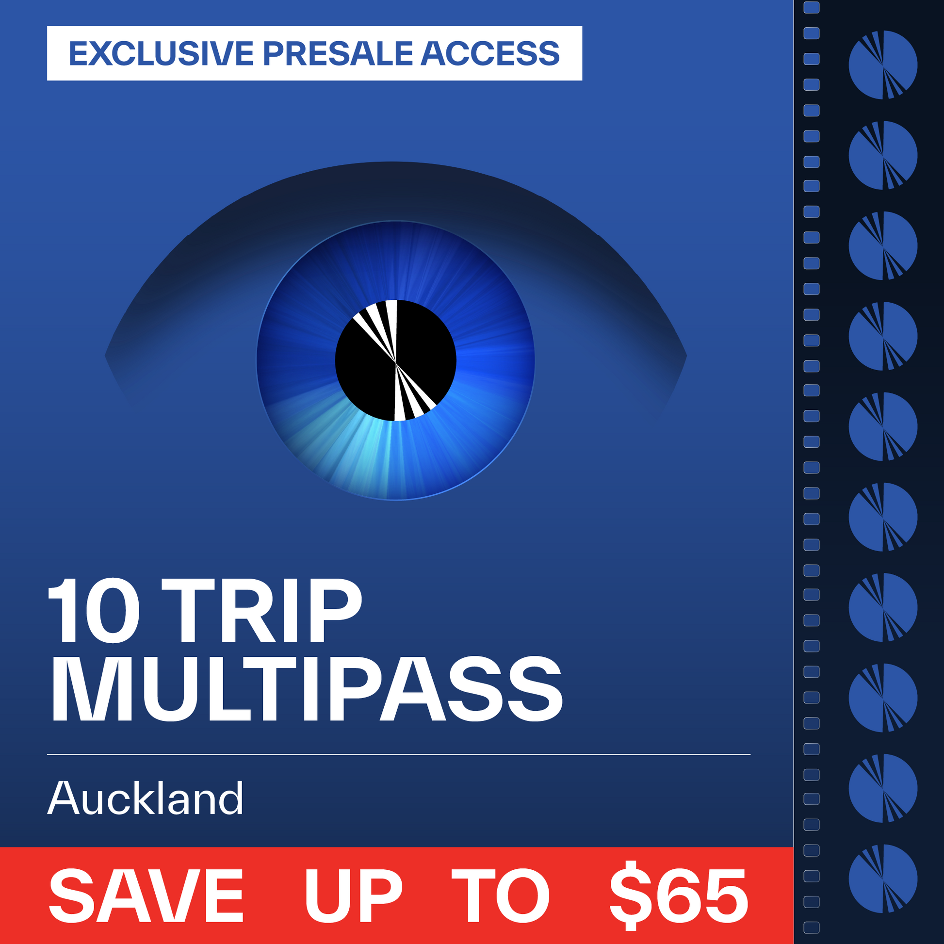 Auckland 10-Trip