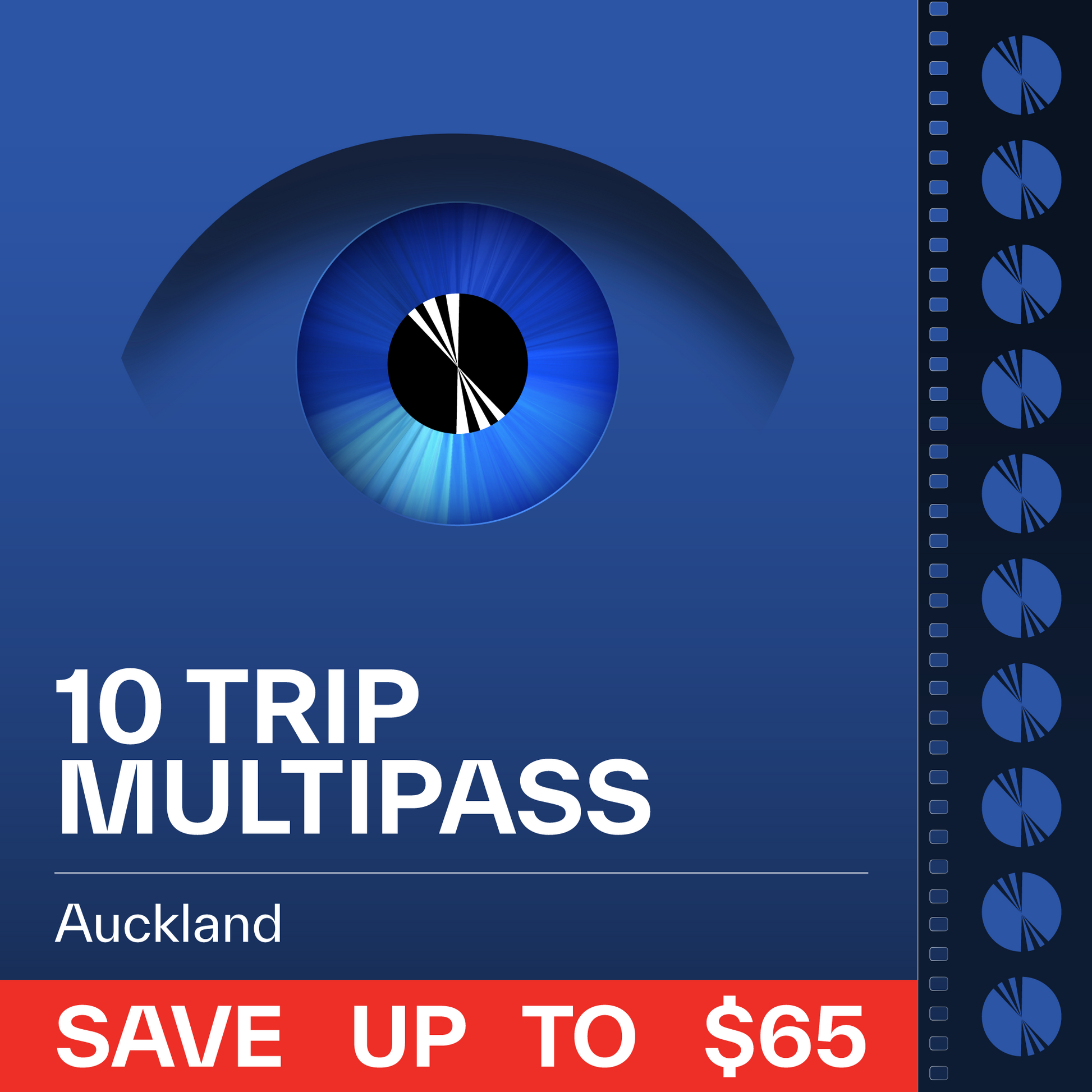 Auckland 10-Trip