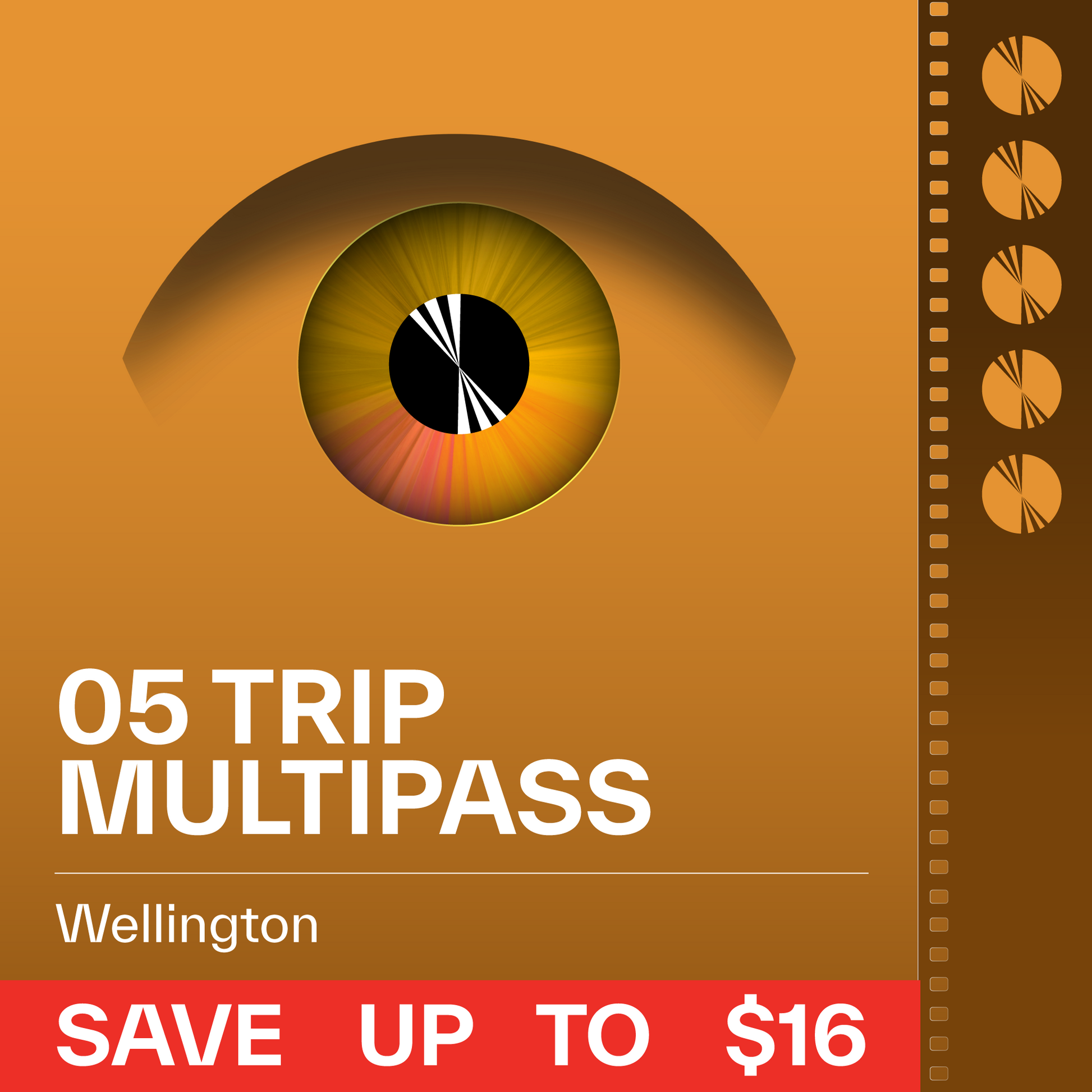 Wellington 5-Trip