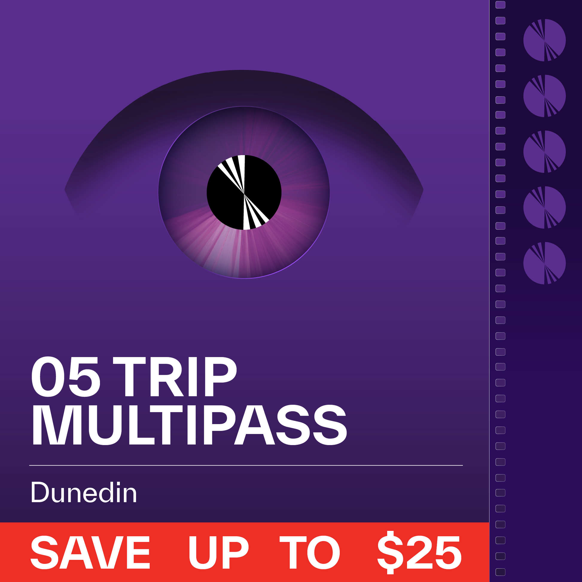 Dunedin 5-Trip